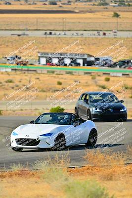 media/Sep-08-2024-VIP Trackdays (Sun) [[e20bd699b9]]/A Group/Session 1-Turn 2/